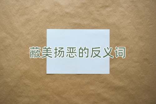 蔽美扬恶的反义词