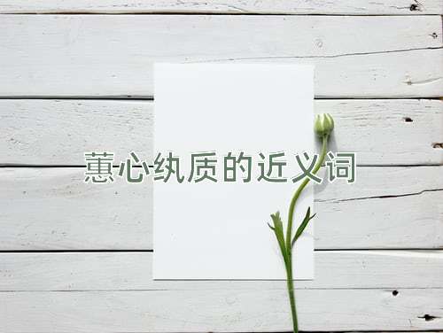 蕙心纨质的近义词