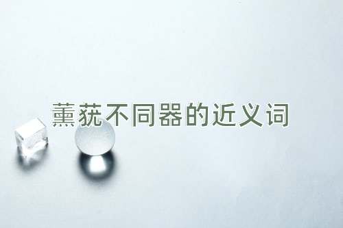 薰莸不同器的近义词