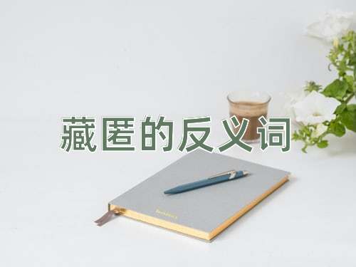 藏匿的反义词