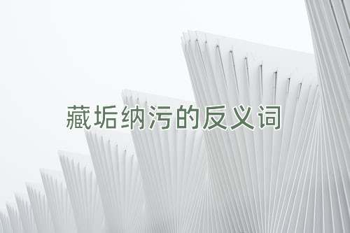 藏垢纳污的反义词