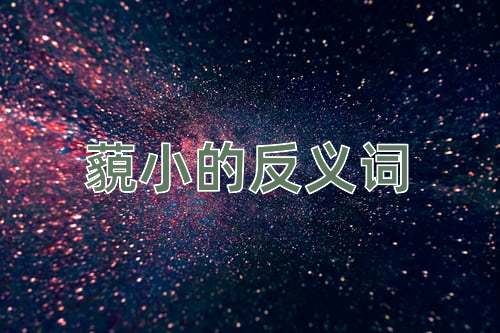 藐小的反义词
