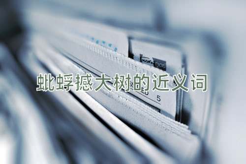 蚍蜉撼大树的近义词