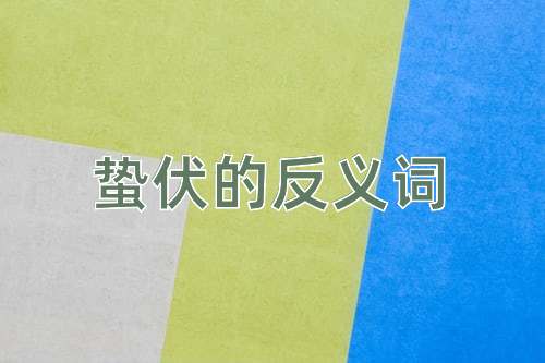 蛰伏的反义词