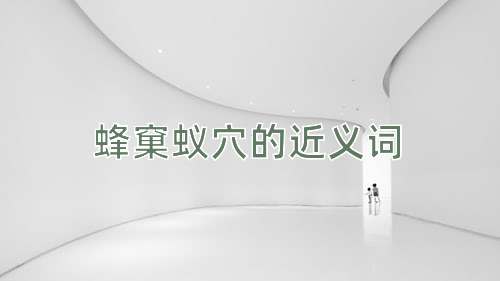 蜂窠蚁穴的近义词