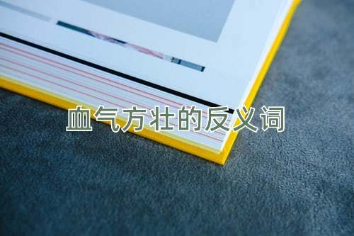 血气方壮的反义词