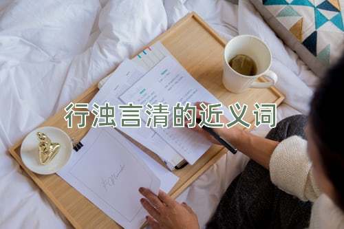 行浊言清的近义词