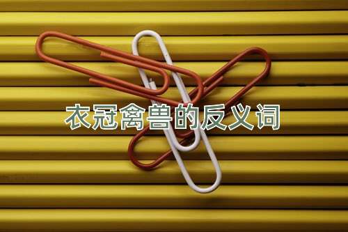 衣冠禽兽的反义词