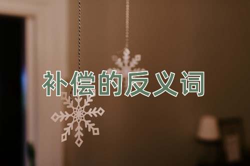 补偿的反义词