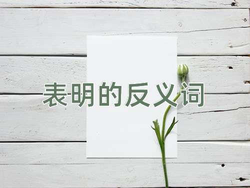 表明的反义词