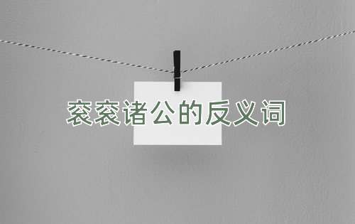 衮衮诸公的反义词