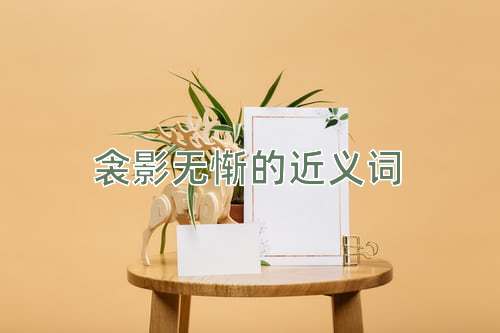 衾影无惭的近义词