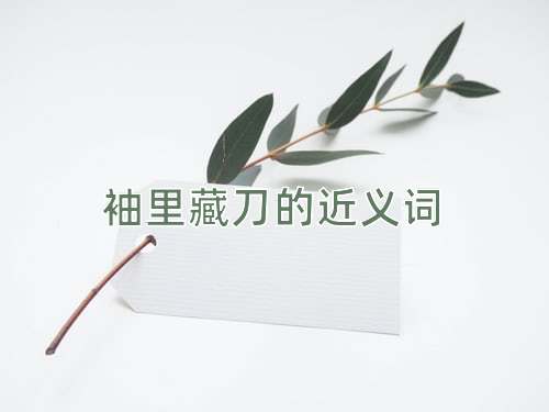 袖里藏刀的近义词