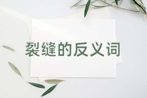 裂缝的反义词