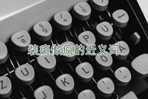 装痴做疯的近义词