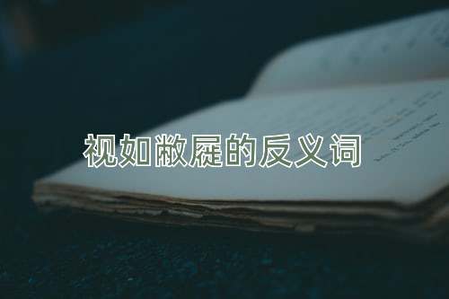 视如敝屣的反义词