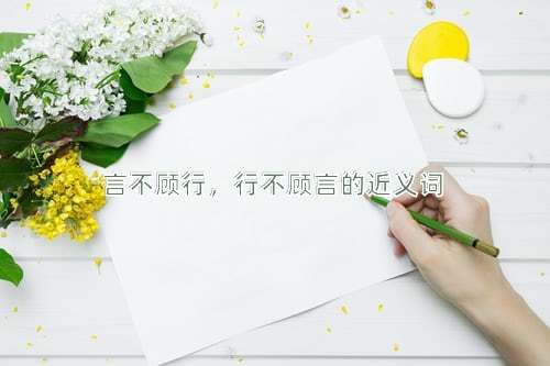 言不顾行，行不顾言的近义词