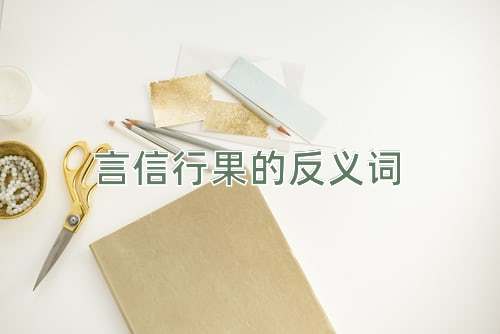 言信行果的反义词