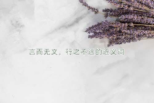 言而无文，行之不远的近义词