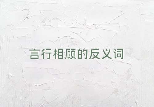 言行相顾的反义词