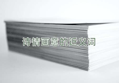 诗情画意的近义词