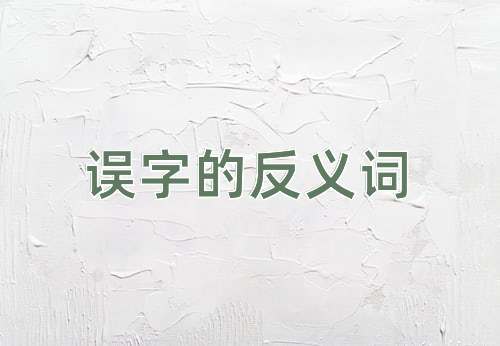 误字的反义词