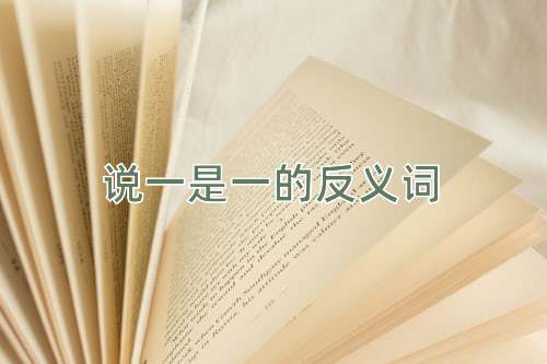 说一是一的反义词