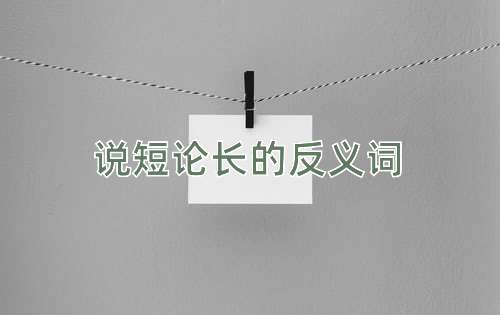 说短论长的反义词