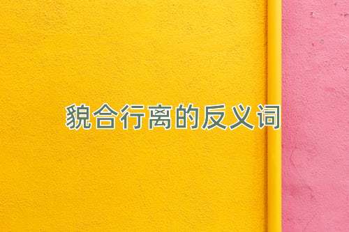 貌合行离的反义词
