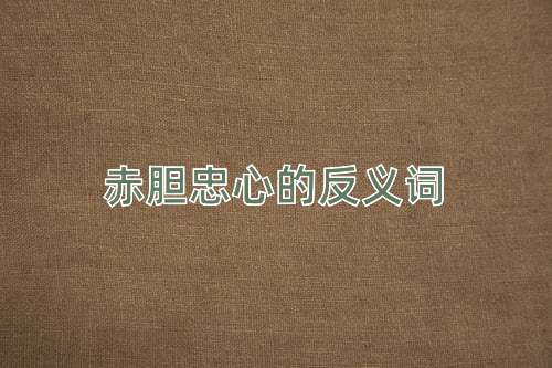 赤胆忠心的反义词