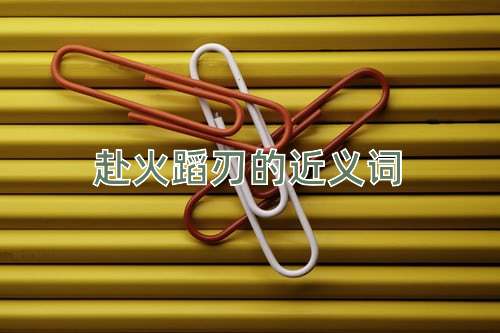 赴火蹈刃的近义词