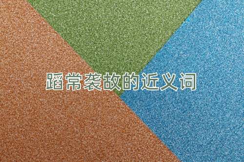 蹈常袭故的近义词