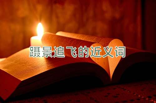 蹑景追飞的近义词