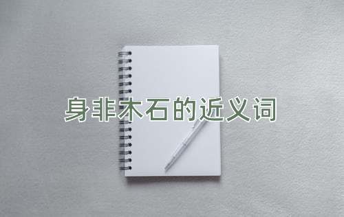 身非木石的近义词