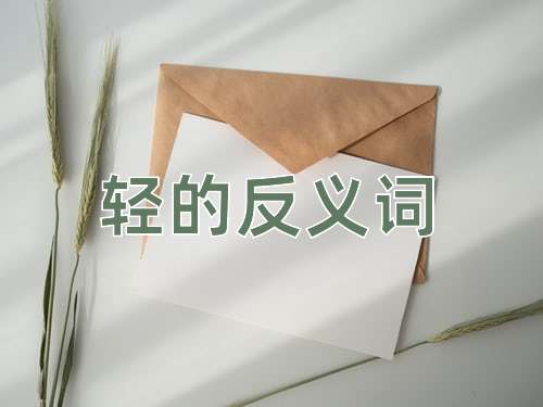 轻的反义词