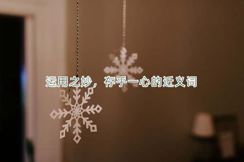 运用之妙，存乎一心的近义词