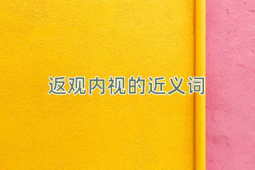 返观内视的近义词