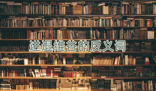进退维谷的反义词