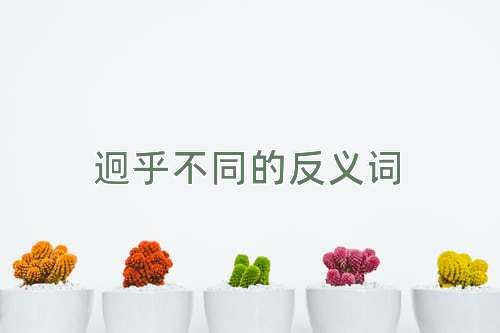 迥乎不同的反义词