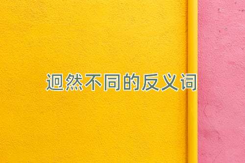 迥然不同的反义词