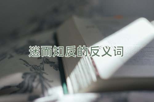 迷而知反的反义词