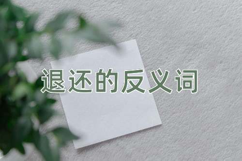 退还的反义词