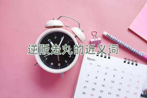 逆阪走丸的近义词