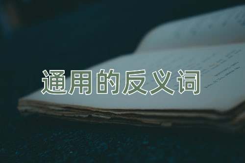 通用的反义词