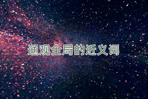 通观全局的近义词