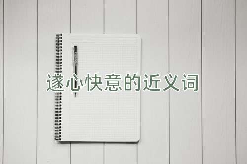 遂心快意的近义词