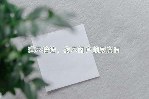 道不拾遗，夜不闭户的反义词