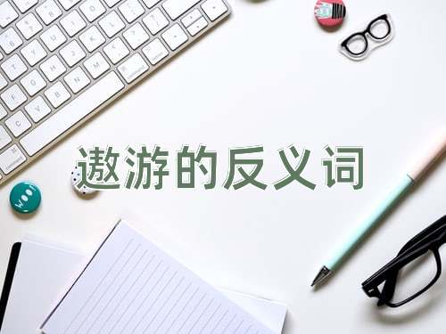 遨游的反义词