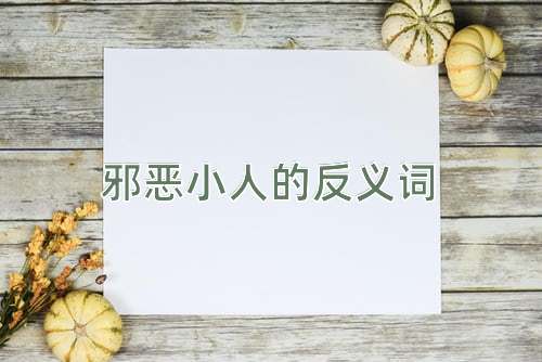 邪恶小人的反义词