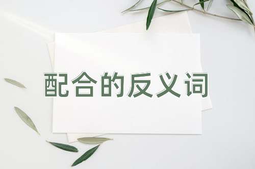 配合的反义词